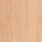 Hout - Beuken